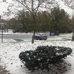 Meet your Posher, Georgina